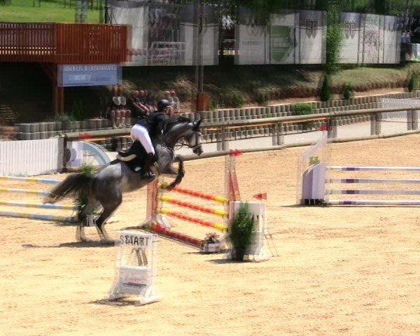 Reitturnier Berching/Opf. 2025