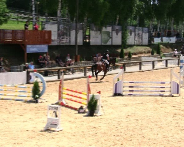 Reitturnier Berching/Opf. 2025