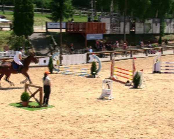 Reitturnier Berching/Opf. 2025