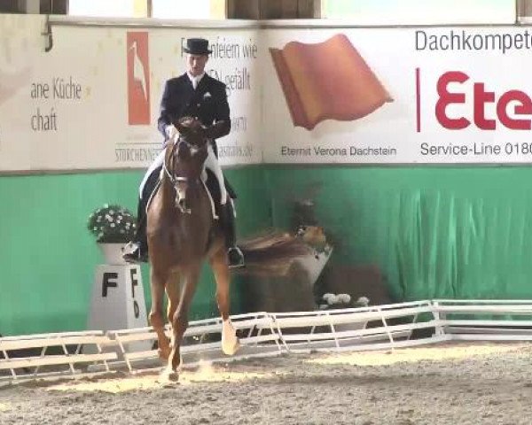 Walldorf 2014