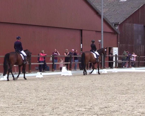 Reitturnier Sörup Dressurturnier 2025