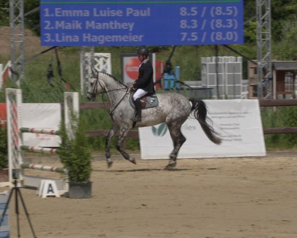 Reitturnier Schönfeld 2025