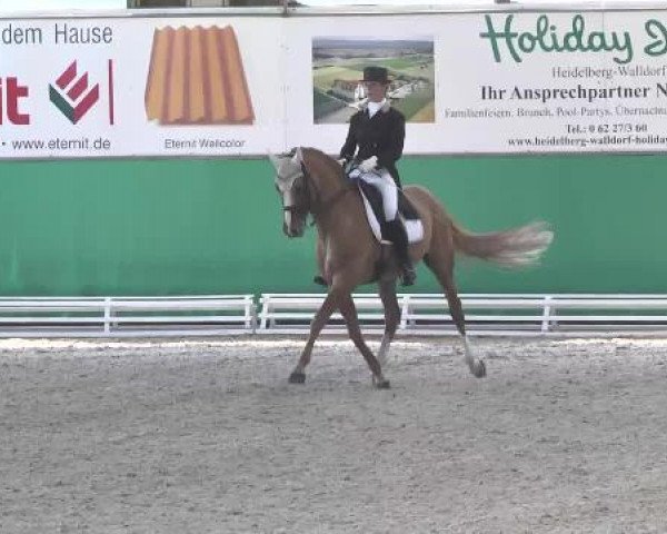 Walldorf 2014