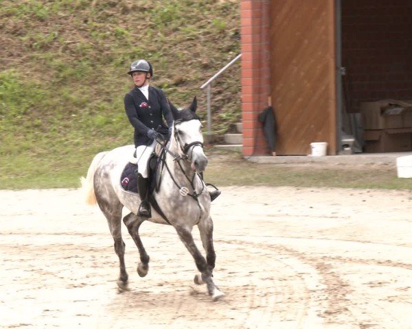 Reitturnier Letmathe 2025