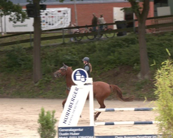 Reitturnier Letmathe 2025