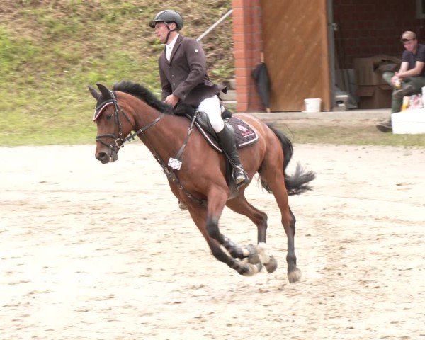 Reitturnier Letmathe 2025