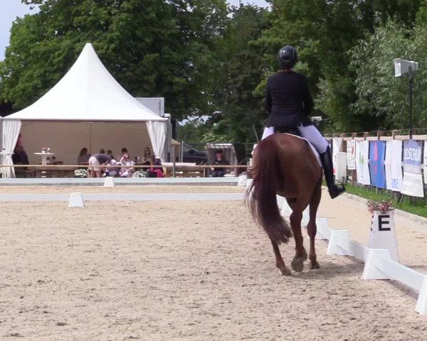 Reitturnier Sörup Dressurturnier 2025
