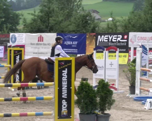 Reitturnier Ruswil 2025