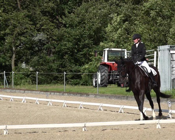 Reitturnier Maienfeld 2025