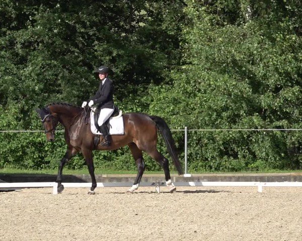 Reitturnier Maienfeld 2025
