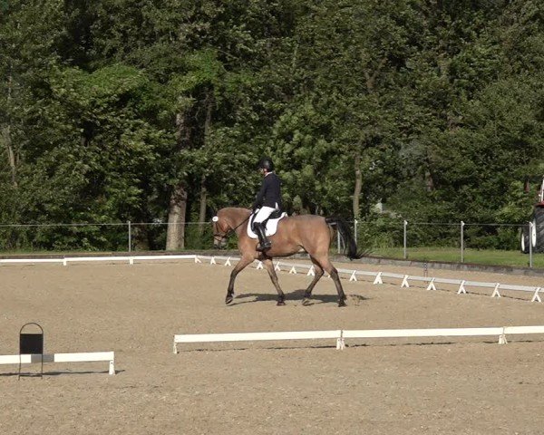 Reitturnier Maienfeld 2025