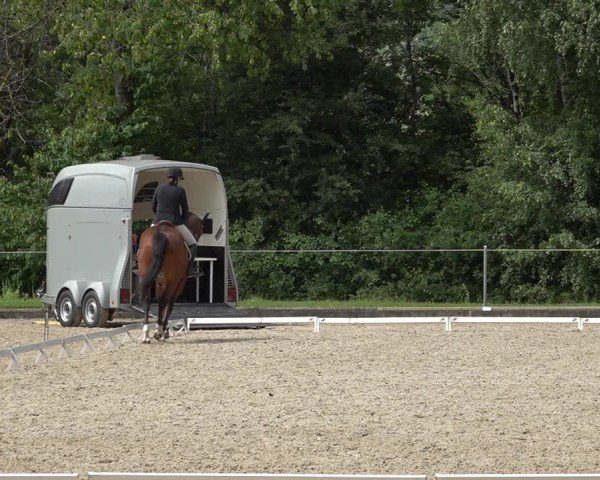 Reitturnier Maienfeld 2025