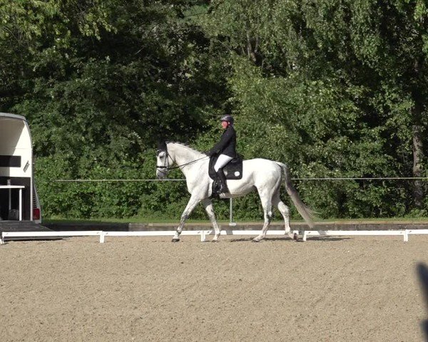 Reitturnier Maienfeld 2025