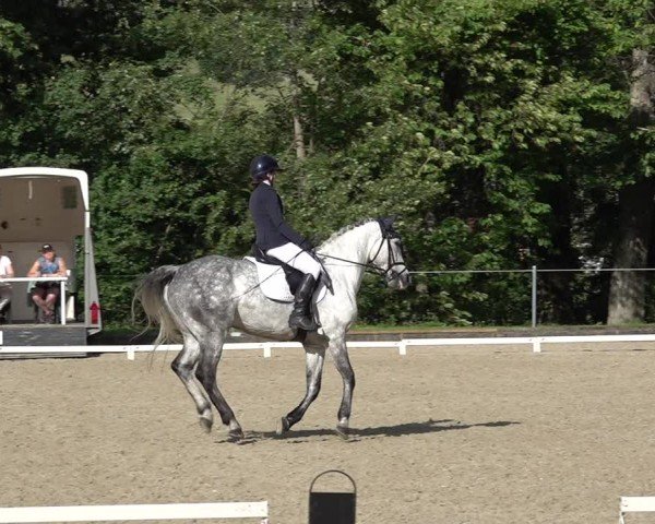 Reitturnier Maienfeld 2025