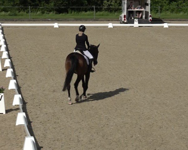 Reitturnier Maienfeld 2025