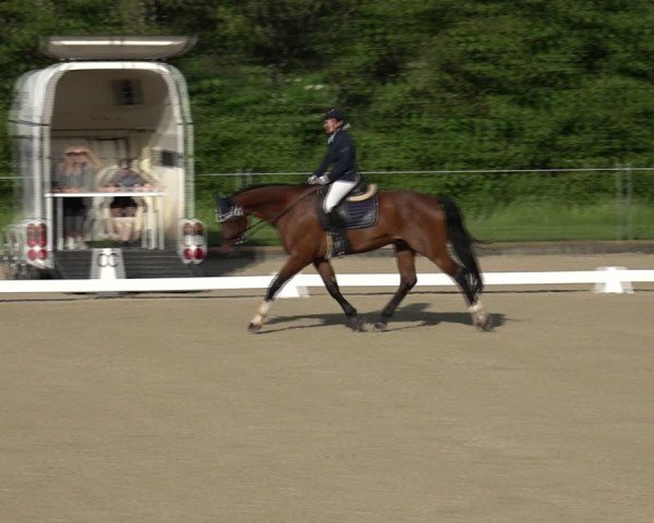 Reitturnier Maienfeld 2025
