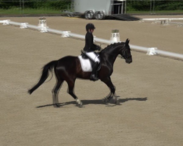 Reitturnier Maienfeld 2025