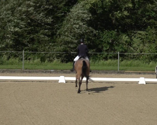 Reitturnier Maienfeld 2025