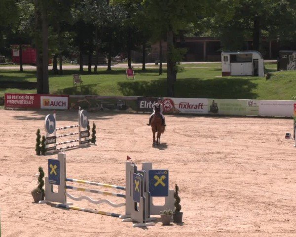 Equestrian Show Stadl-Paura 2025