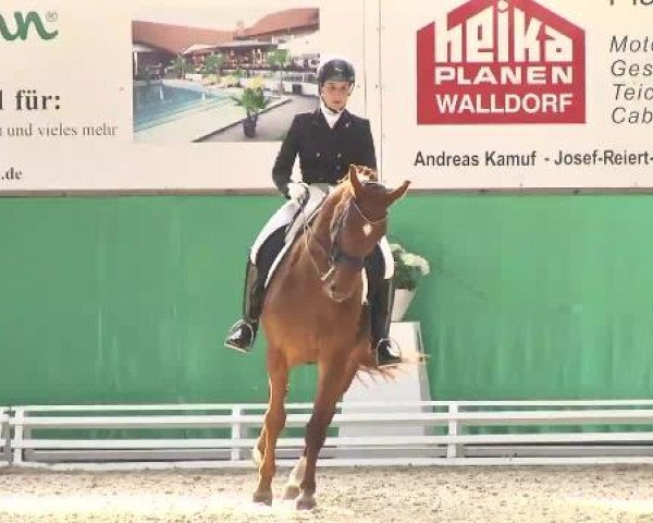 Walldorf 2014