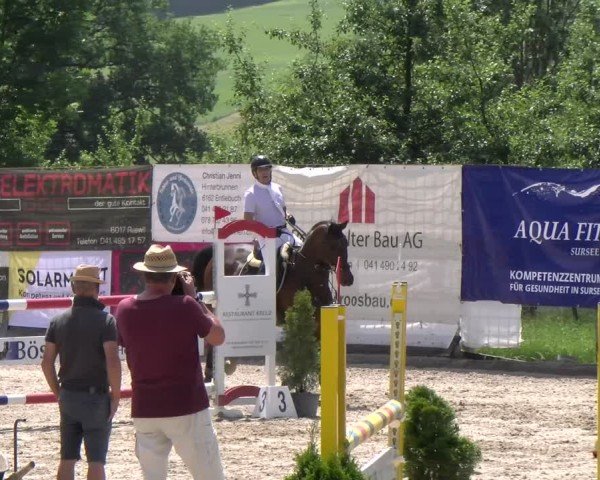 Reitturnier Ruswil 2025