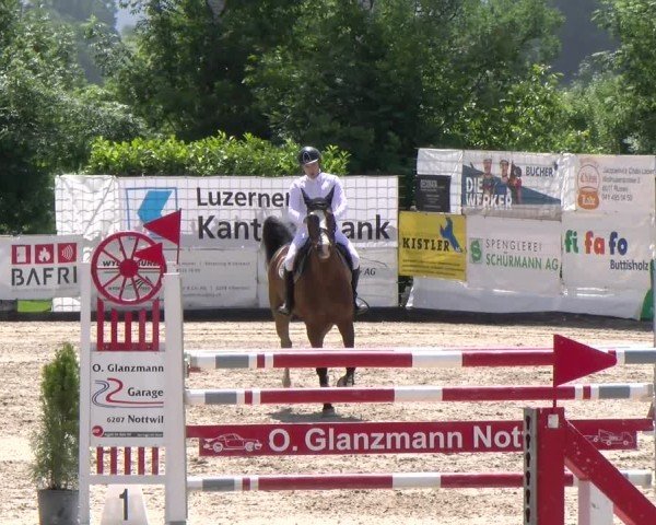 Reitturnier Ruswil 2025