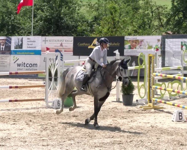Reitturnier Ruswil 2025