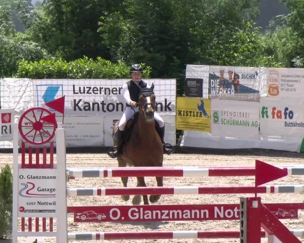 Reitturnier Ruswil 2025