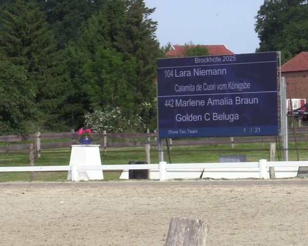 Reitturnier Brockhöfe 2025