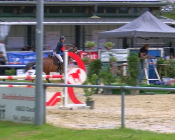 Reitturnier Coesfeld/Lette 2025