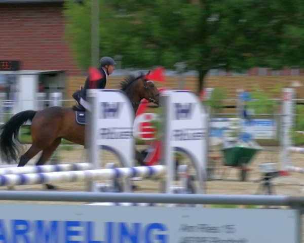 Reitturnier Coesfeld/Lette 2025