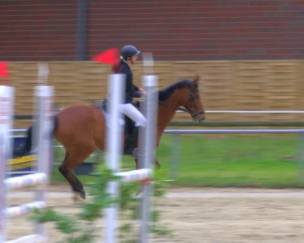 Reitturnier Coesfeld/Lette 2025