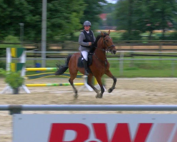 Reitturnier Coesfeld/Lette 2025