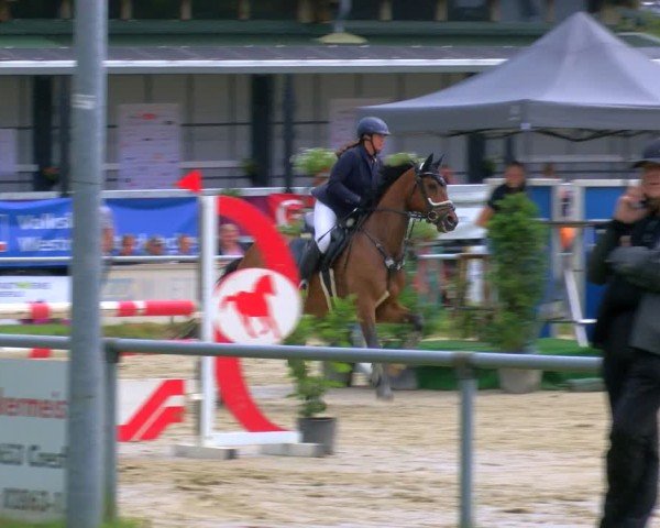 Reitturnier Coesfeld/Lette 2025