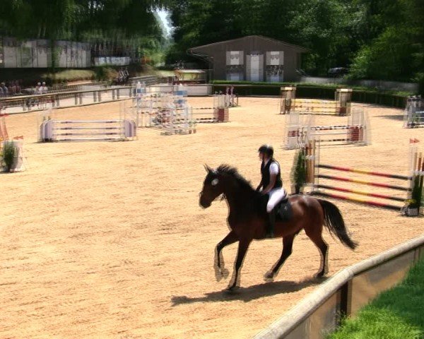 Reitturnier Berching/Opf. 2025