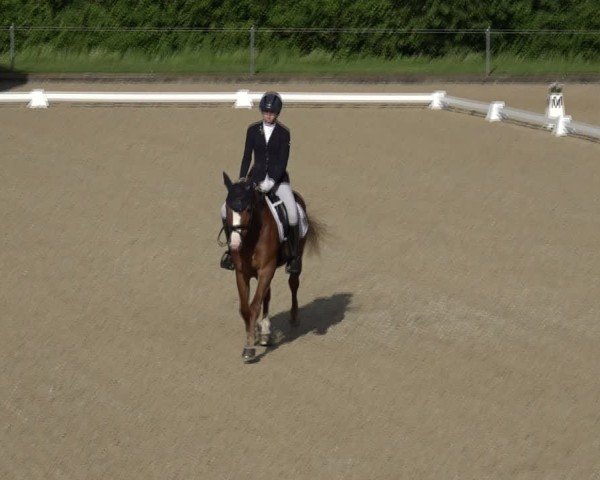 Reitturnier Maienfeld 2025
