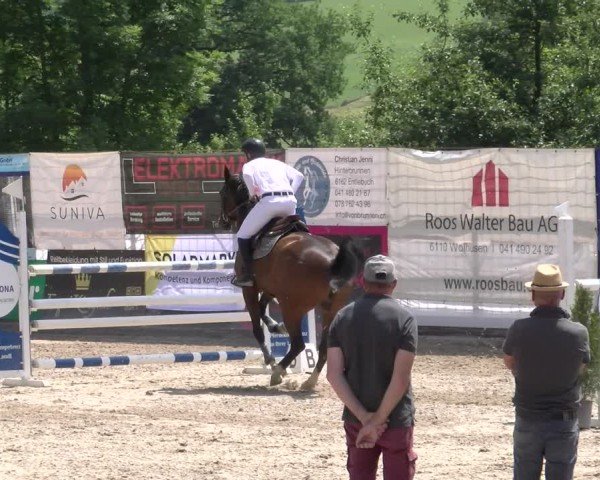 Reitturnier Ruswil 2025