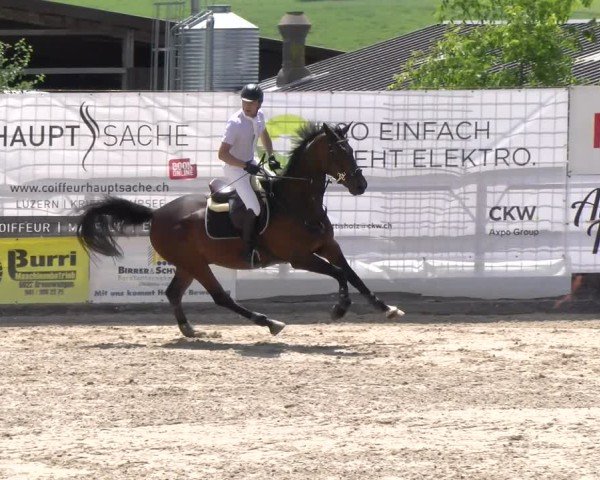 Reitturnier Ruswil 2025