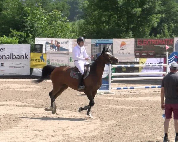Reitturnier Ruswil 2025