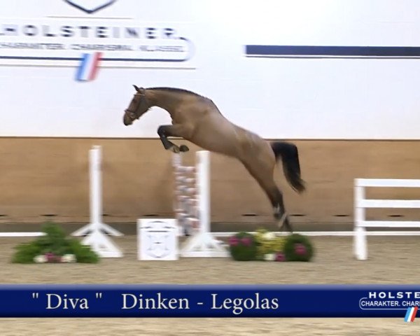 broodmare Diva 649 (Holsteiner, 2015, from Dinken)