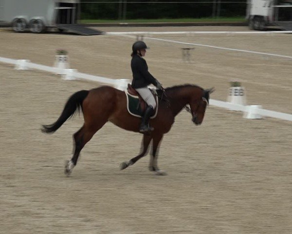 Reitturnier Maienfeld 2025