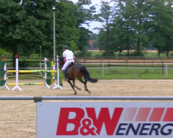Reitturnier Coesfeld/Lette 2025