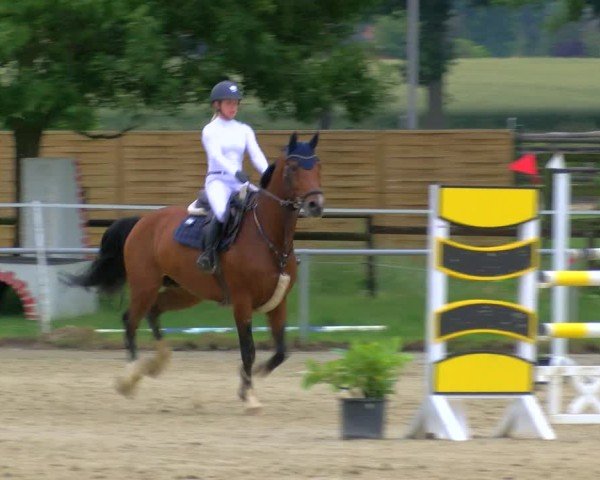 Reitturnier Coesfeld/Lette 2025