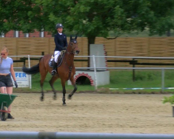 Reitturnier Coesfeld/Lette 2025