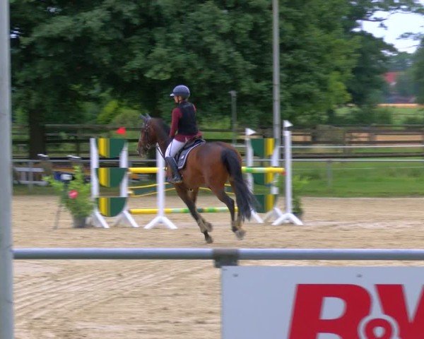 Reitturnier Coesfeld/Lette 2025