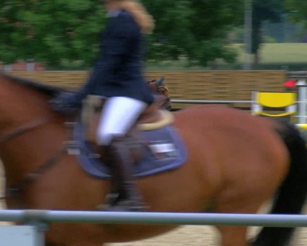 Reitturnier Coesfeld/Lette 2025