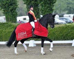 dressage horse Deco (Oldenburg, 2012, from De Niro)