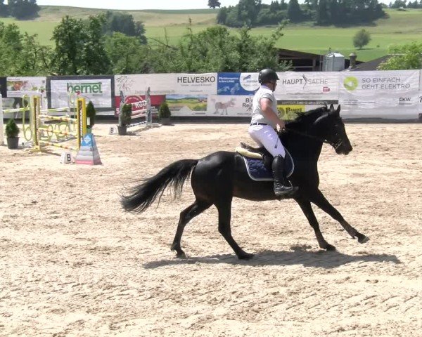 Reitturnier Ruswil 2025