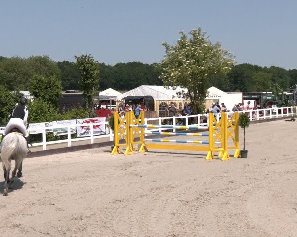 Reitturnier Brockhöfe 2025