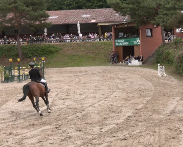 Reitturnier Letmathe 2025